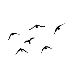 Flying birds silhouettes vector