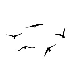 Naklejka premium Flying birds silhouettes vector