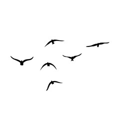Flying birds silhouettes vector