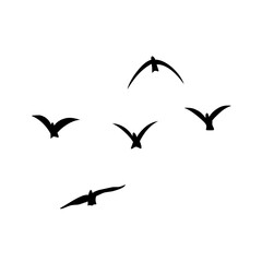 Flying birds silhouettes vector