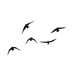 Flying birds silhouettes vector