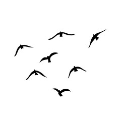 Flying birds silhouettes vector