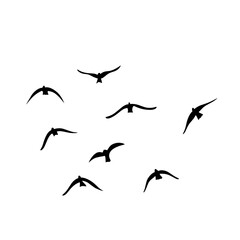 Flying birds silhouettes vector