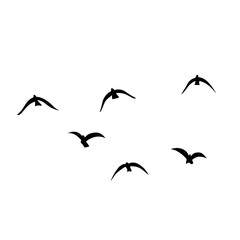 Flying birds silhouettes vector