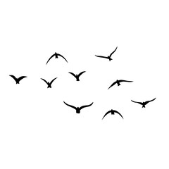 Flying birds silhouettes vector