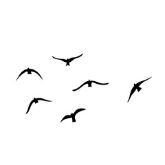 Flying birds silhouettes vector