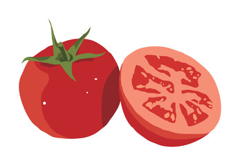 Hand drawn illustration of 'Tomato', a red fruit, one of the types of vegetables.