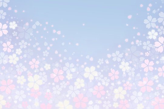 桜背景 着物風