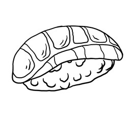 hand drawn nigiri sushi illustration