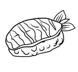hand drawn nigiri sushi illustration
