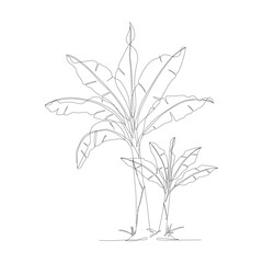 One continuous line drawing of banana tree. Banana tree line art drawing. Tropical concept of banana tree vector illustration. Banana tree icon in one line drawing. Vector illustration