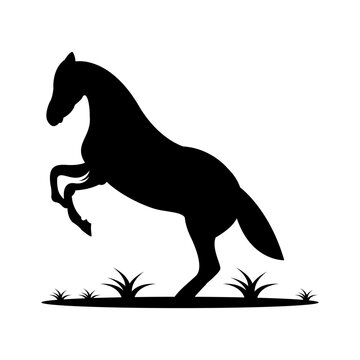 horse silhouette icon logo design