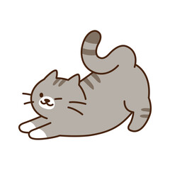 Cute cat. A gray cat is stretching its hips.