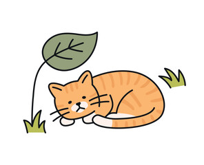 Cute cat. A hungry cat is lying under a leaf with a tired expression.