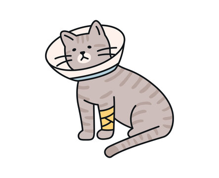 recommend clip art: Cute cat. An injured cat is wearing a neck collar and a bandage.
