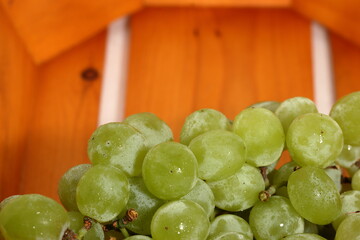 grapes on a table