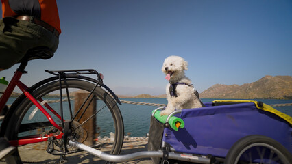 Elderly senior man biking on an e-bike on a trail pulling a trailer with a cute dog in it beside a...