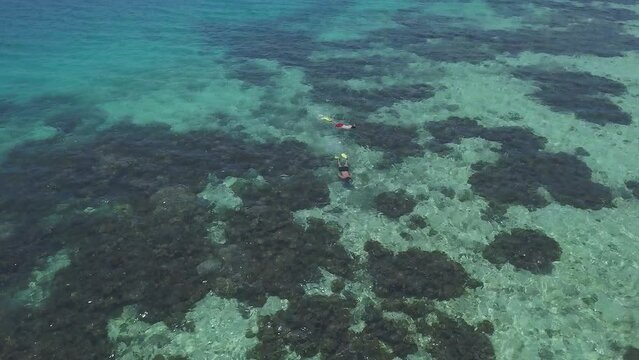 Drone Fiji Coral reef relaxing on boat to friends snorkeling white sandbar Malalo island aqua deep blue water scenic landscape sunny beautiful relaxing Nadi aerial cinematic forward movement