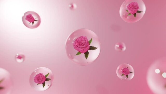serum and vitamin drop rose flower background pink color serum and vitamin drop on skin cells. Closeup Oli and vitamin drop on skin cells. 