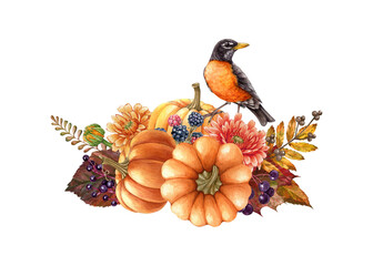 American robin with pumpkins floral autumn rustic decor. Watercolor illustration. Hand drawn cozy autumn vintage style decor with robin bird. Pumpkins, fern, berries, leaves floral bright decoration