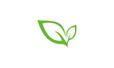 green leaf icon