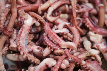 food background of raw squid tentacles for cooking