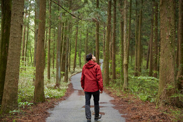 휴양림을 산책하는 남성의 뒷모습 © stciel