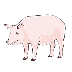 ブタ / ぶた / 豚のイラスト素材