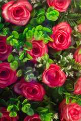 Fototapeta premium red roses with leaf background, Flowers wall background