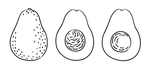 Hand-drawn illustrations of an avocado