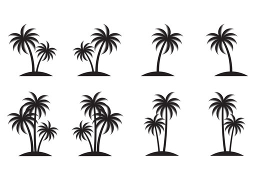 Coconut Tree or Palm Tree Silhouette. Vector Illustration Isolated on White Background.