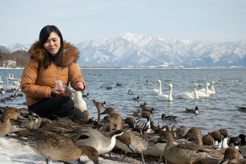 Woman traveller is enjoy feeding to birds at Lake Inawashiro in Fukushima, Japan.