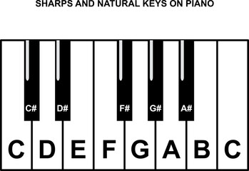 Piano keyboard diagram - piano keyboard layout on transparent background
