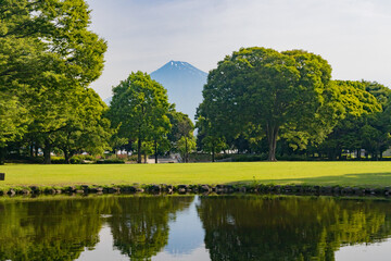 池に映る富士山と木々