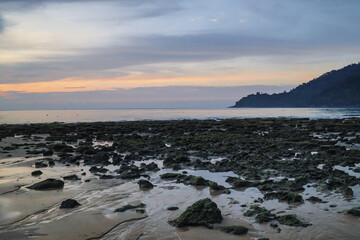 Image of low tide at the beach