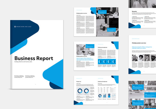 Classic Blue Business & Corporate Report