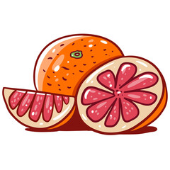 Grapefruit sign in cartoon style illustration