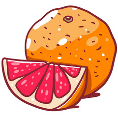 Grapefruit hand drawn in cartoon style