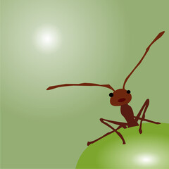 Illustration of ant cartoon on green  background
