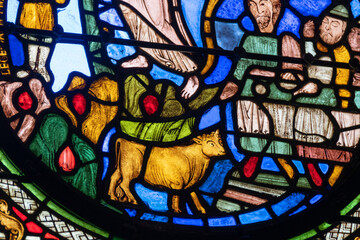 Detail of medieval stained glass window depicting a cow, peasants in a church window. Blues reds,...
