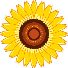 sunflower vector illustration icon