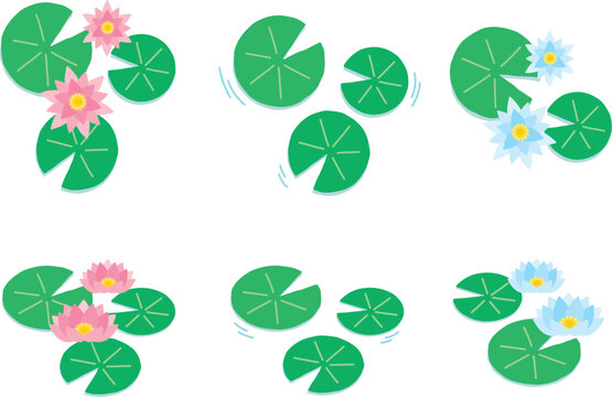 かわいい睡蓮の葉と花のイラストセット