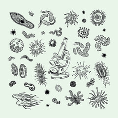 Biological drawings of viruses and bacteria with a microscope 
Contour graphics pen doodle