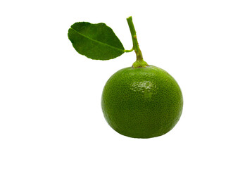 Juicy slice of lime isolated on png background