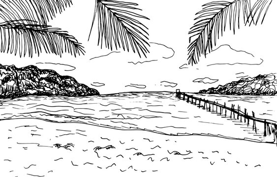 Sea coast graphic beach with palm and bridge black white landscape sketch illustration vector