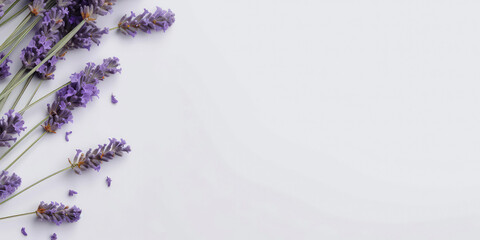 Bunch of lavender on a purple. Violet flowers blossom with Copy space. Mockup, template on lilac background. Provence. Top view. Flat lay. Generative ai