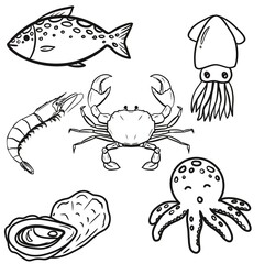 Set  line of marine animals, seafood, salmon, shrimp, crab, squid, shell, octopus on a white background.