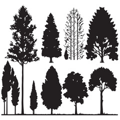 Group of trees silhouette. Tree silhouette vector.