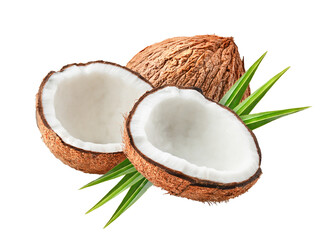 coconuts isolated on transparent png
