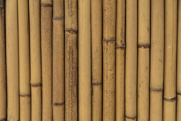 Texture of a vertical bamboo fence. Japanese culture